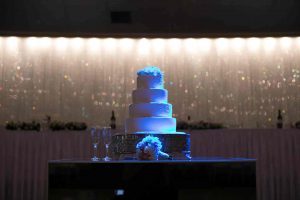 sydney-wedding-bride-wedding-cake-1704-20170304-CAM-min